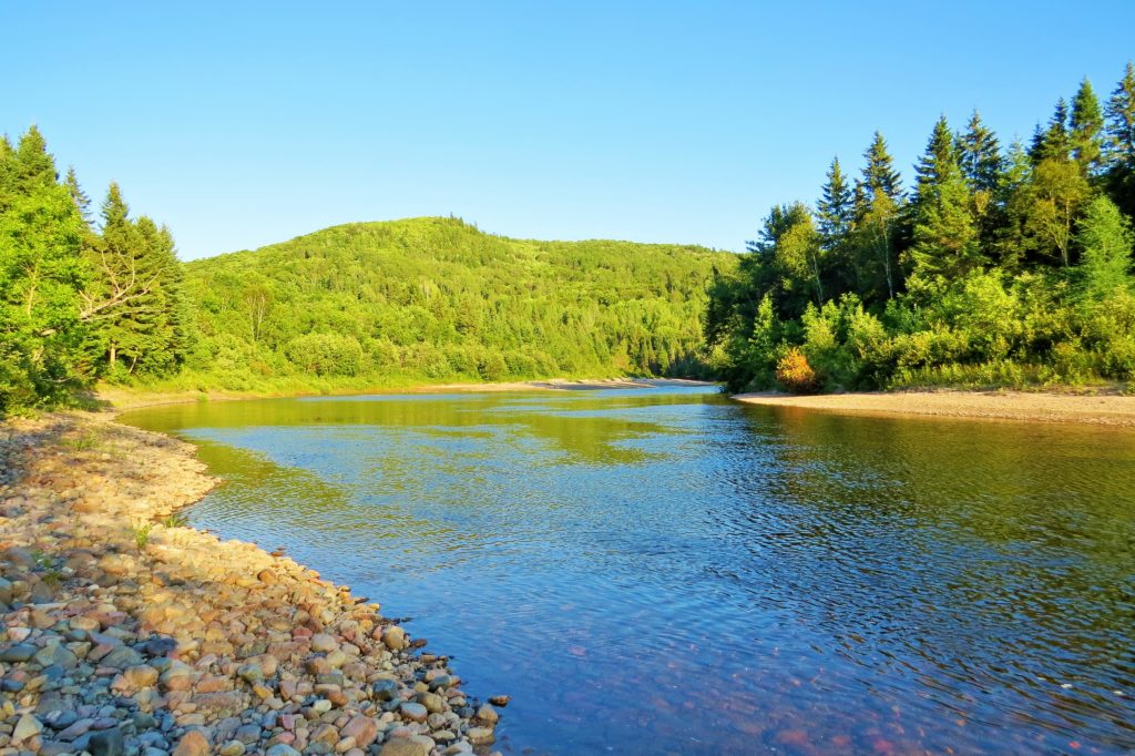 Contact Driftwood Valley Chalets